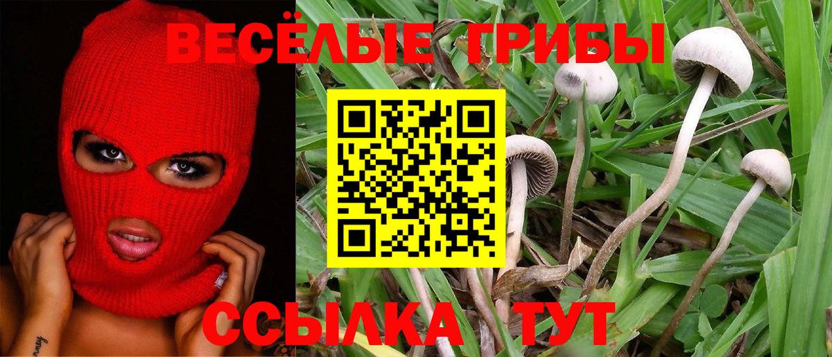 Псилоцибиновые грибы GOLDEN TEACHER Лосино-Петровский