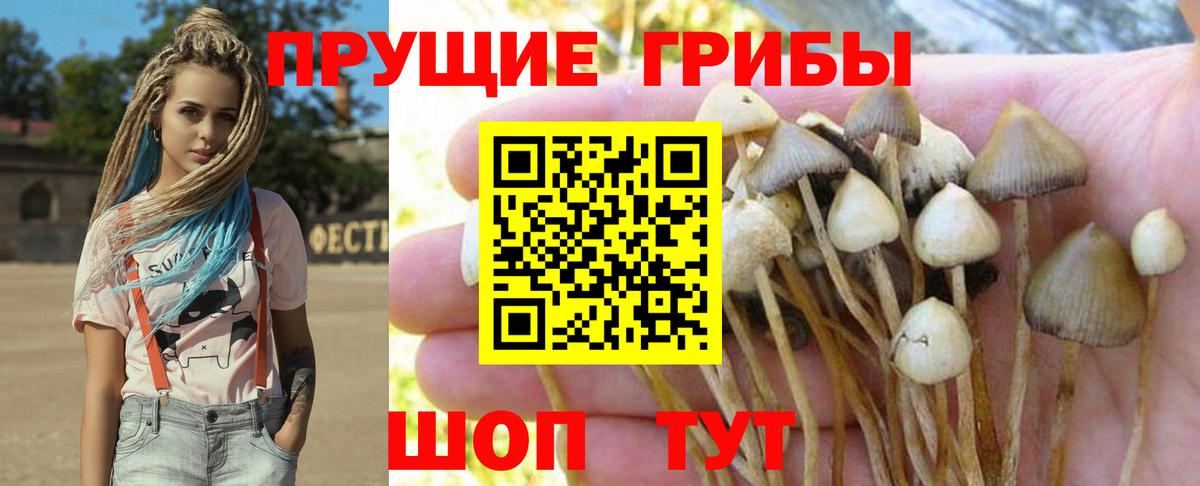 Галлюциногенные грибы GOLDEN TEACHER  Вход с VPN  Лосино-Петровский 